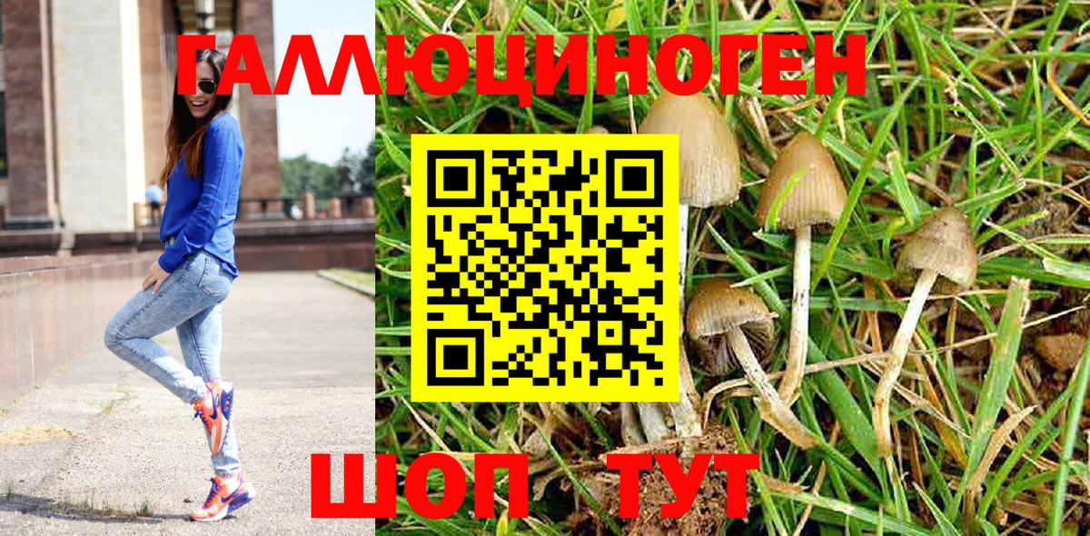 Псилоцибиновые грибы прущие грибы  Псилоцибиновые грибы мицелий  Вход с VPN  Губкин 